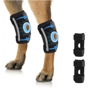 Adjustable Nylon Dog Knee Support Neoprene Joint Brace Compression Wrap Back Leg Protection for Dogs