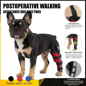 Classic Dog Leg Knee Brace Front Shoulder Elbow Support Post Surgical Injury Protector Comfortable SBR Material Protective