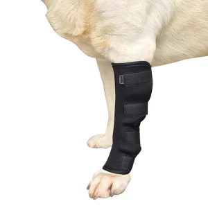 Custom High Elasticity Comfortable Breathable Orthotics Protective Hind Leg Ankle Support Pet Dog Knee Brace