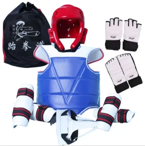 Custom logo Sanda Body Protector Taekwondo Sparring Gear Set