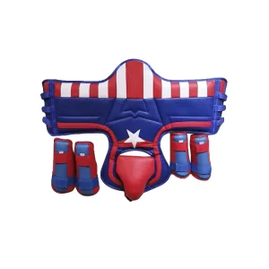 Customizable High quality Taekwondo Training and Martial Arts Competition Body Protective Equipment Set