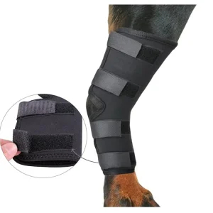 Dog Leg Brace Support Neoprene Dog Leg Protector Dog Knee Brace for Hind Legs