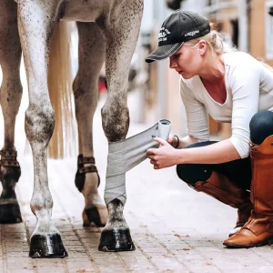 Equestrian Equine Equipment Comfort Bandages For Horse Racing And Polo Riding Essential Horse Care Product