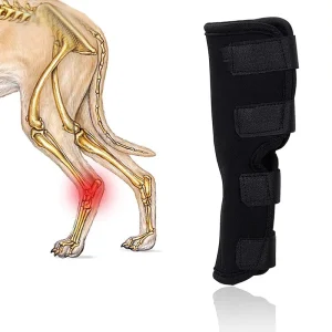 Factory Direct Neoprene Pet Prevents Injuries and Sprains Splint Dog Knee Protector Brace