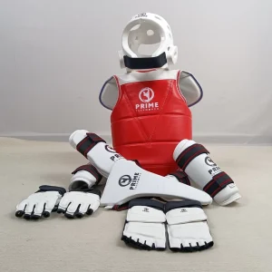 Factory Direct Sale Custom Logo Martial Arts Equipment Taekwondo Protective Gear