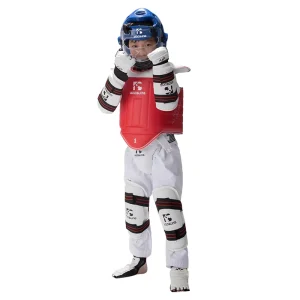 Five Piece Taekwondo Protector Chest Leg Arm Helmet and Crotch Guard Taekwondo Protection
