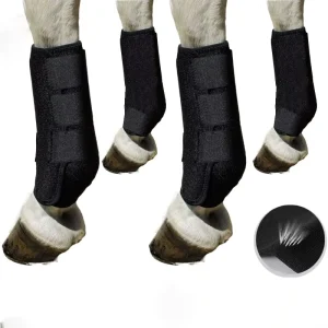 HWK 0082 Professional Horse Racing Equipment Export Neoprene Horse Leg Guards Anti Collision Diving Protective Horse Leggings
