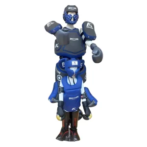 High Quality Custom Boxing Equipment Professional Winning Boxing Gloves Head and Groin Guard