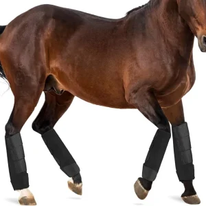 Horse Leg Protectors Anti Collision Neoprene Horse Wraps Equestrian Professional Racing Equipment