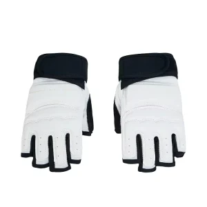 Martial Arts Equipment Taekwondo Gloves Hand Guard