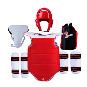 Martial Arts Taekwondo Sparring Gear Set Taekwondo Protectors