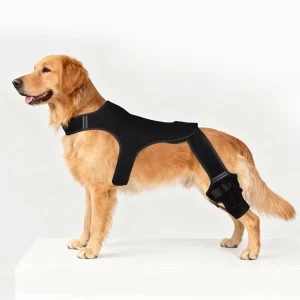 OUTING Full Size Neoprene Flexible Dog Knee Brace for ACL Knee Cap Dislocation Arthritis Adjustable Extra Support Reduces Pain