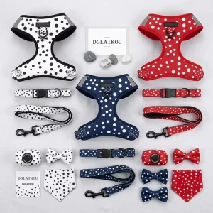 Personalized Custom Cooling Anti Pull Dog Harness And Leash Set Manufacturer Custom Logo For Dogs