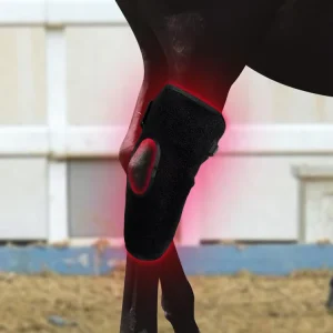 Physical Horse Equipments Red Light Therapy Horses Boot Led 660nm 850nm For Hock