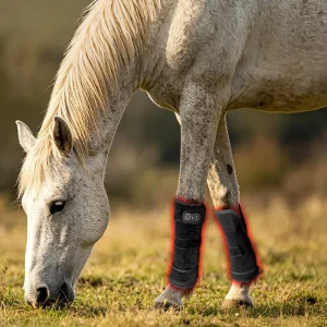 Rechargeable Battery Red Light Therapy Horse Knee Boots Belt Cordless Heating Horses Hock Leg Injuries Pain Relief Wrap Pad
