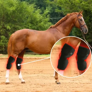 Red Light Therapy Horse Equipment Pain Relief Equine Infra Red Light Hock For Horse Legs