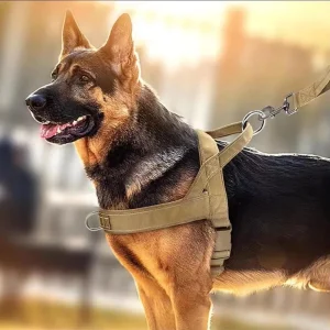 Tactical Dog Harness Nylon Striped Padded Breathable Strong Durable Adjustable Pet Harness