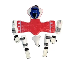 Taekwondo Protections Equipment for Training and Competition SEVEN piece Set Taekwondo Gear